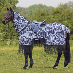 Bild von Fliegenausreitdecke Zebra mit Fransen und Halsteil