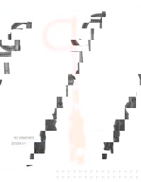 Zeige Details für  Einohr-Zaumzeug, Einohrtrense, Einohrkopfstück Bild von  Einohr-Zaumzeug, Einohrtrense, Einohrkopfstück