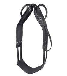 Zeige Details für Longiergurt mit zwei Handgriffen, Voltigiergurt Leder Bild von Longiergurt mit zwei Handgriffen, Voltigiergurt Leder