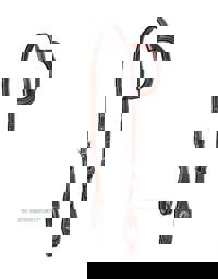 Zeige Details für Einohr-Zaumzeug, Einohrtrense, Einohrkopfstück Bild von Einohr-Zaumzeug, Einohrtrense, Einohrkopfstück