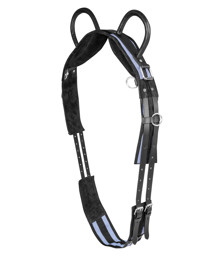 Zeige Details für Longiergurt mit 2 Handgriffen, Voltigiergurt, Kinderlongiergurt Bild von Longiergurt mit 2 Handgriffen, Voltigiergurt, Kinderlongiergurt