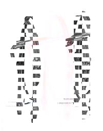 Zeige Details für Westerntrense mit türkiser Verzierung und wunderschönen Buckles Bild von Westerntrense mit türkiser Verzierung und wunderschönen Buckles