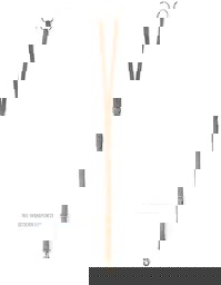 Zeige Details für Martingal aus Leder, Ledermartingal, Lederhilfszügel Bild von Martingal aus Leder, Ledermartingal, Lederhilfszügel