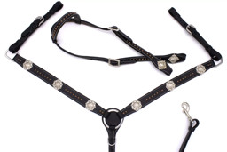 Zeige Details für Westernset: Einohrtrense und Vorderzeug mit Nieten und Conchos Bild von Westernset: Einohrtrense und Vorderzeug mit Nieten und Conchos