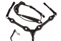 Zeige Details für Westernset: Trense und Vorderzeug mit Nieten und Conchos Bild von Westernset: Trense und Vorderzeug mit Nieten und Conchos
