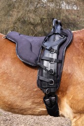 Zeige Details für Sitzkissen, Reitkissen für die Longiergurte von Barefoot Bild von Sitzkissen, Reitkissen für die Longiergurte von Barefoot