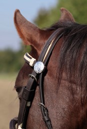Zeige Details für Westerntrense mit Rohhaut Oaklet, WB-KB Bild von Westerntrense mit Rohhaut Oaklet, WB-KB