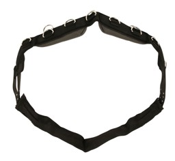 Zeige Details für Longiergurt Nylon für Pony oder Warmblut, schwarz Bild von Longiergurt Nylon für Pony oder Warmblut, schwarz