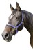 Bild von Pferdehalfter in Pony, Vollblut, Warmblut, schwarz, rot, blau