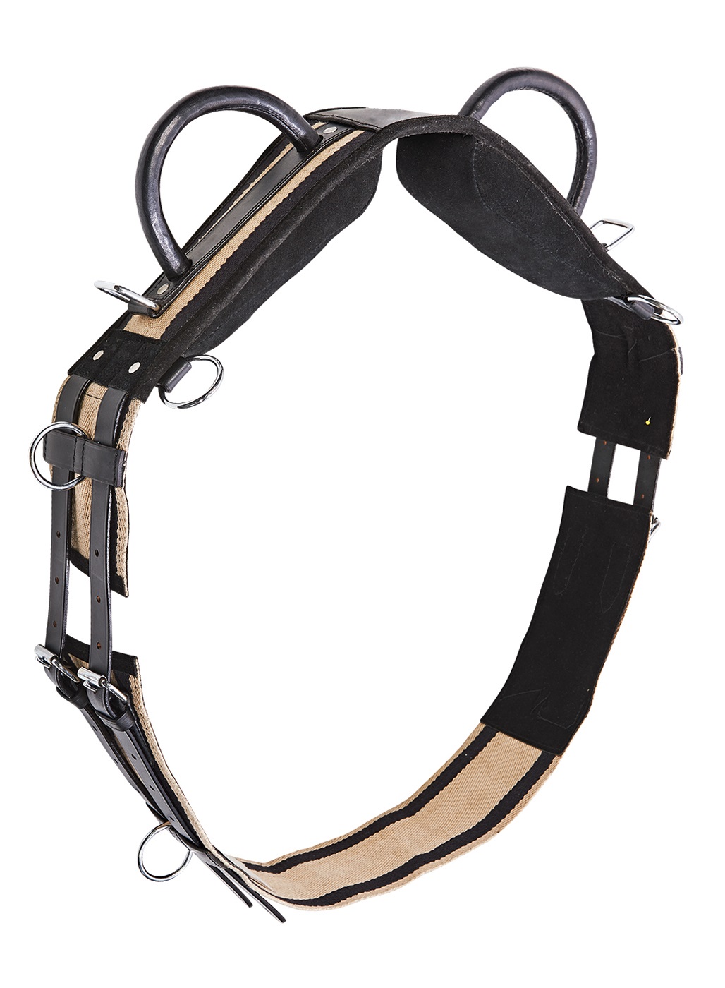 Bild von Longiergurt mit 2 Handgriffen, Voltigiergurt, Kinderlongiergurt