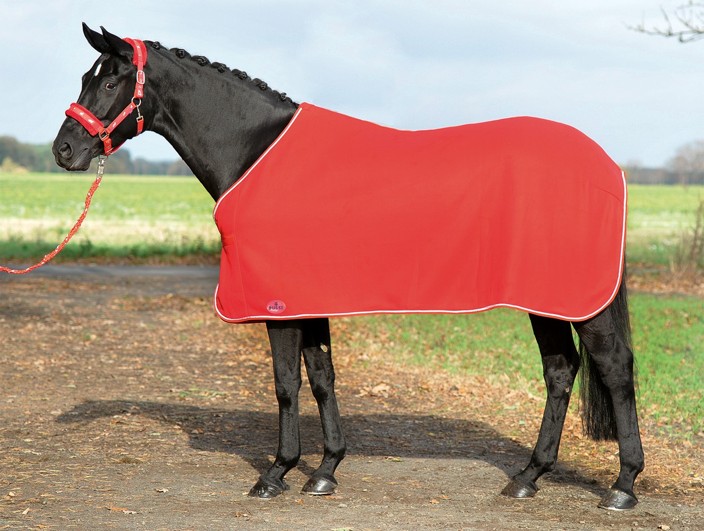 Bild von Pferdeabschwitzdecke SHOW, blau, schwarz, rot