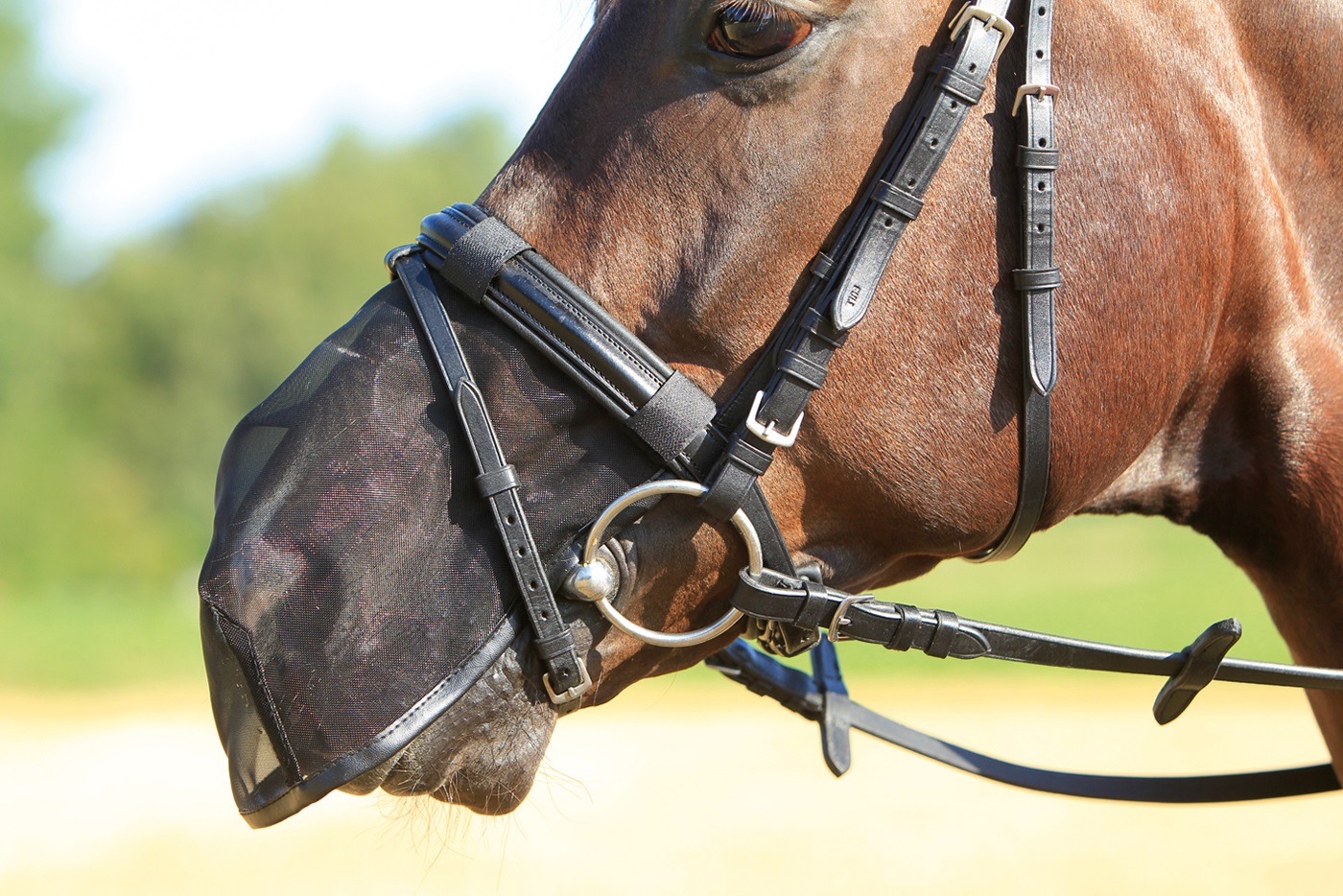 Bild von Pferdenüsternschutz Fly Protector, Pferdenasenfliegenschutz