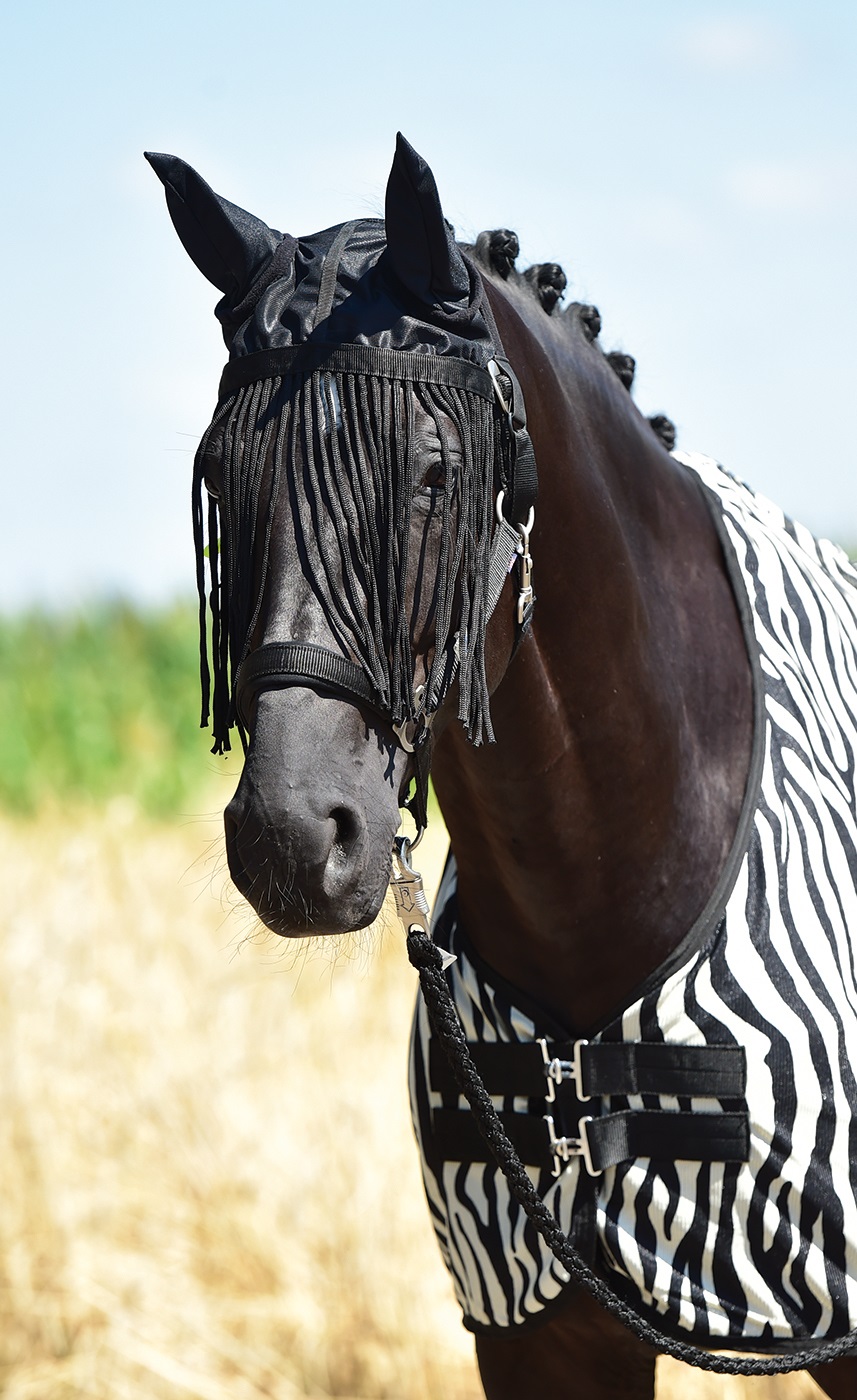 Bild von Pferdeohrenschutz mit Fliegenfransenband Fly Protector
