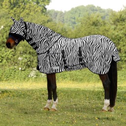 Bild von Pferdefliegendecke Zebra, Größe Shetty - Kaltblut