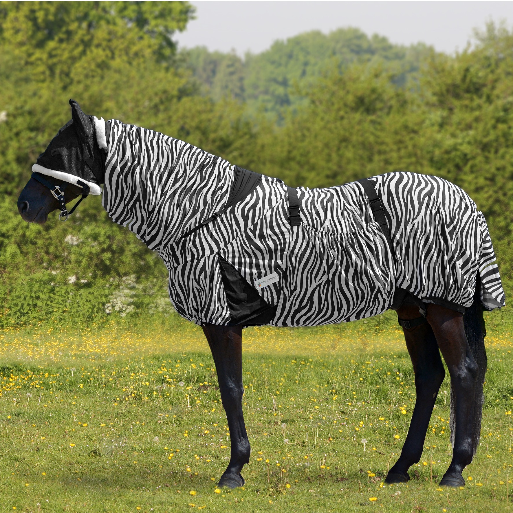 versch RugBe Zebra Pferdedecke Größen Fliegen- und Ekzemerdecke mit Halsteil 