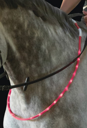 Bild von LED Leuchthalsring für Pferde, Dauerlicht oder Blinklicht weiß, pink, grün