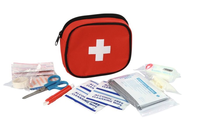 Bild von Erste-Hilfe-Tasche klein für Mensch und Tier