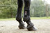 Bild von Pferdegamaschen TecAir braun oder schwarz, stoßabsorbierend