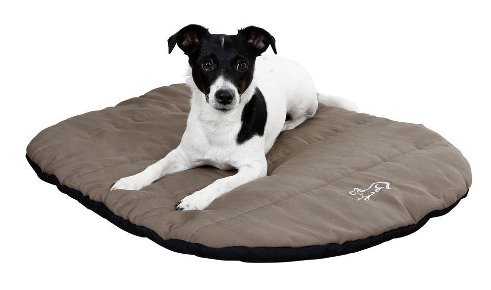 Bild von Hundekissen Traveller, Hundebett zusammenrollbar