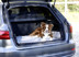 Bild von Hundedecke Trip, Hundeliegedecke für unterwegs, zusammenrollbar