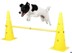 Bild von Pylonen Hürden und Slalom Set Hunde Agility