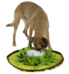 Bild von Schnüffelteppich Bowl für Katzen und Hunde