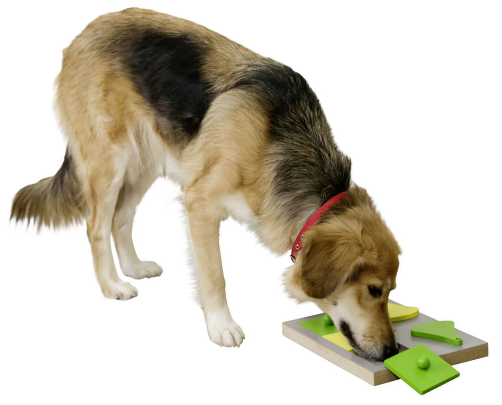 Bild von Denkspielzeug, Lernspielzeug Cake für Hunde