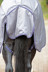 Bild von Pferderegendecke, Pferdedecke RugBe Zero, grau