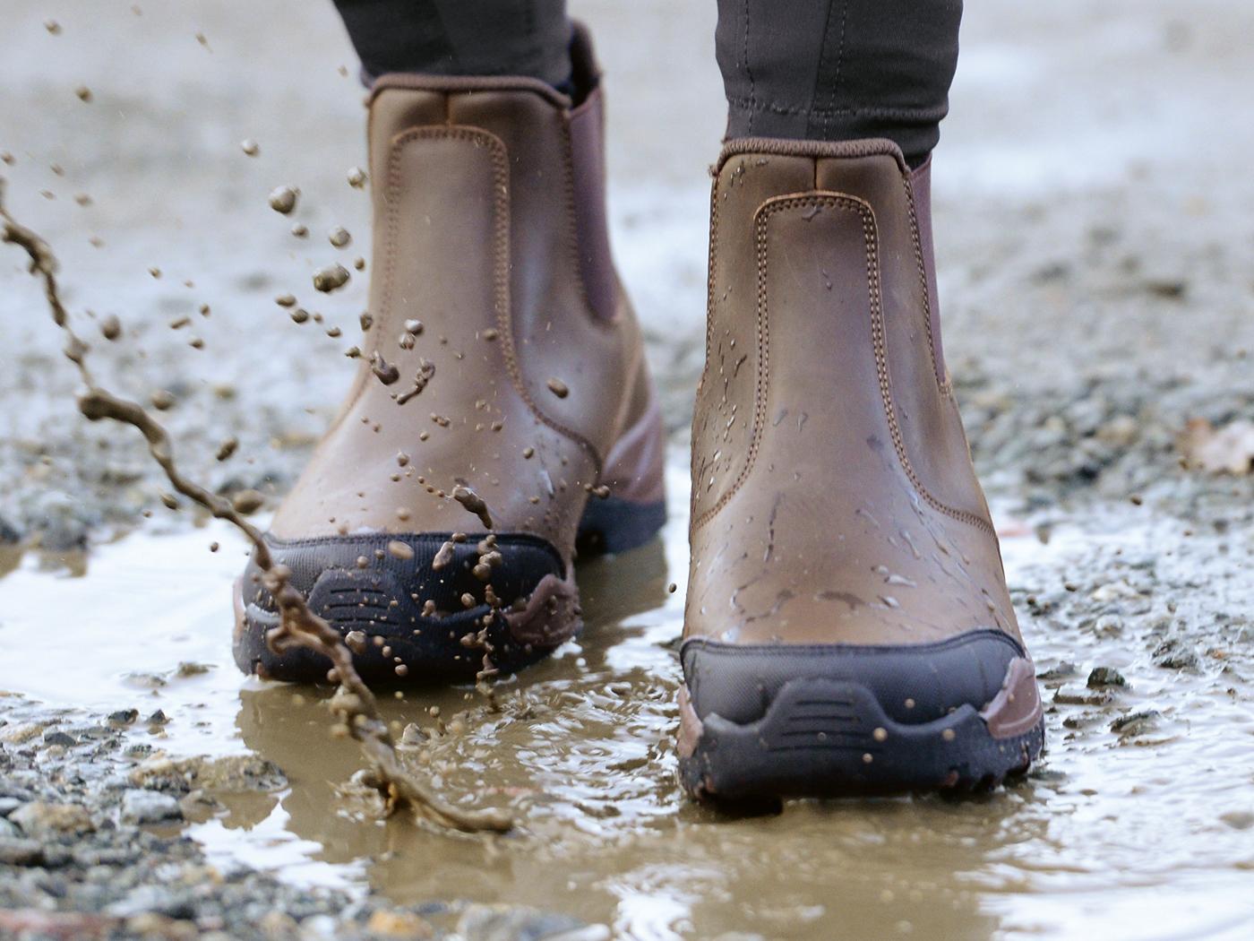 Bild von Jodhpur-Stiefelette Atlanta, Zugstiefelette braun