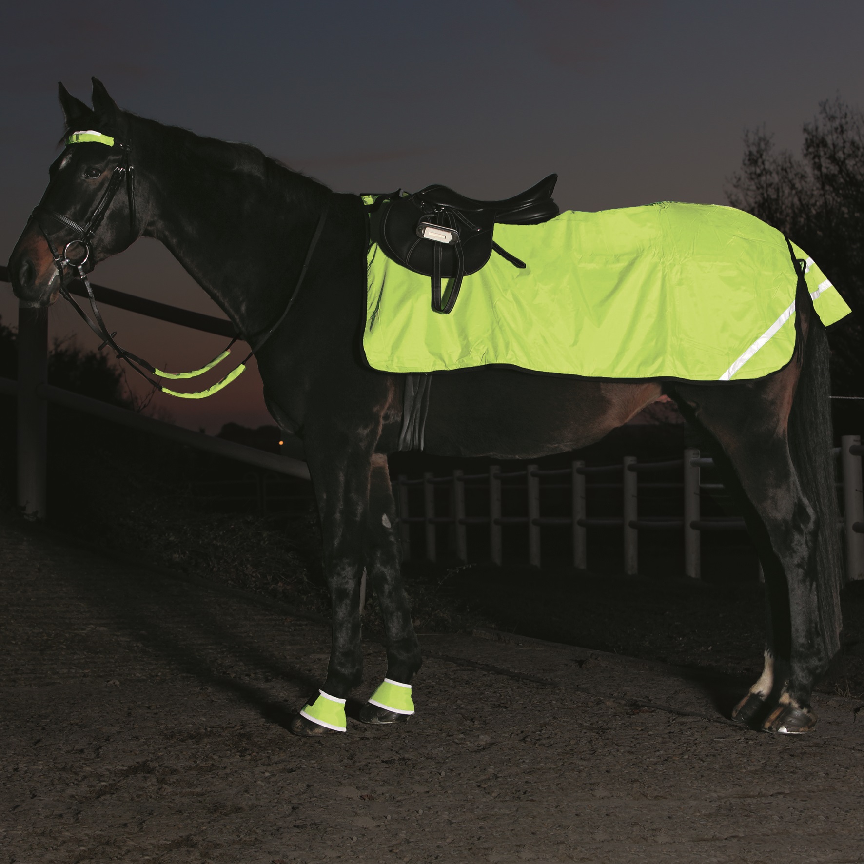 Bild von Reflexausreitdecke neongelb, Reflex Nierendecke mit Fleece