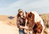 Bild von Basecap Proud Cowgirl, Truckercap mit Pferdemotiv