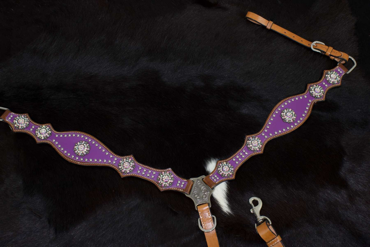Bild von Westernvorderzeug lila mit Conchos und Nieten