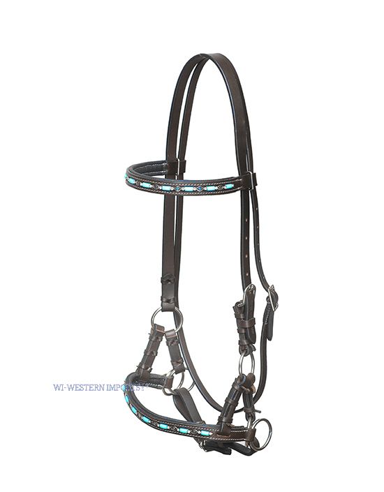 Bild von Ledersidepull mit türkisen Verzierungen