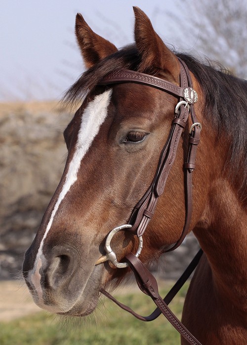 Bild von Missoula Nut oder Virginia Rose Westerntrense mit Quick Change und Basketpunzierung