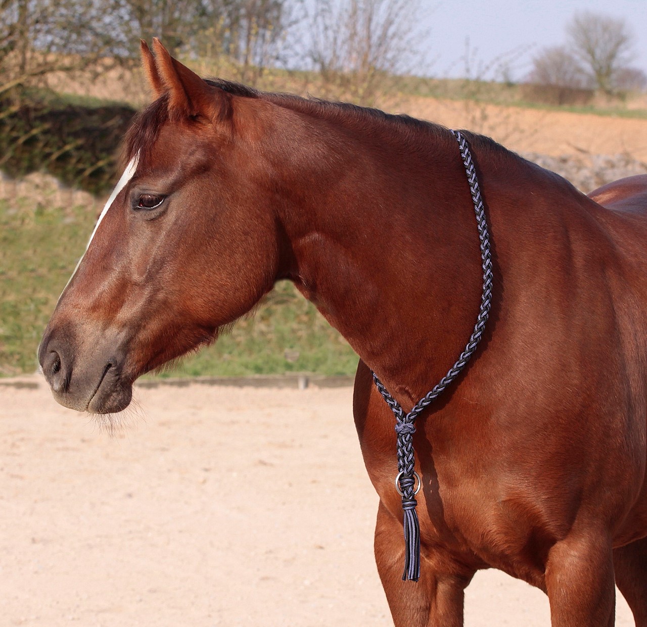 Bild von Halsring AMBER aus Bergseilen