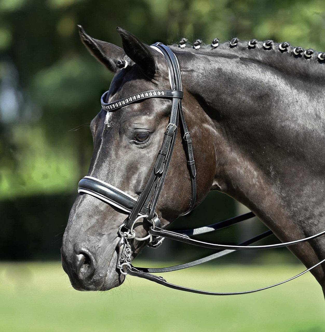 Bild von Kandare Grand Prix, Reithalfter VB mit Glitzer, sehr hohe Qualität