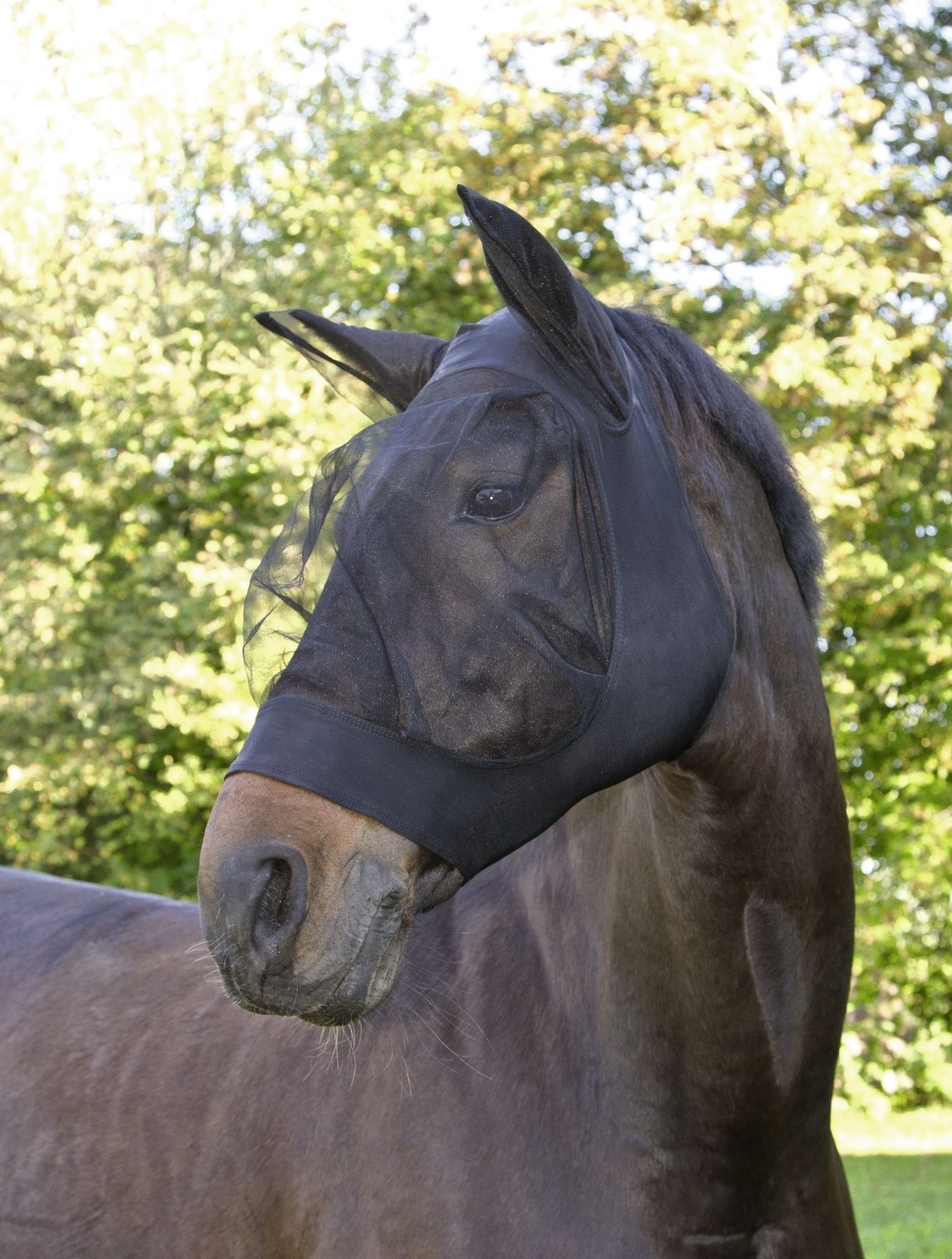 Pferd Anti Fliegenmaske Kapuze Vollgesichtsnetz Schutz Anti-UV-Abwehr Mücke