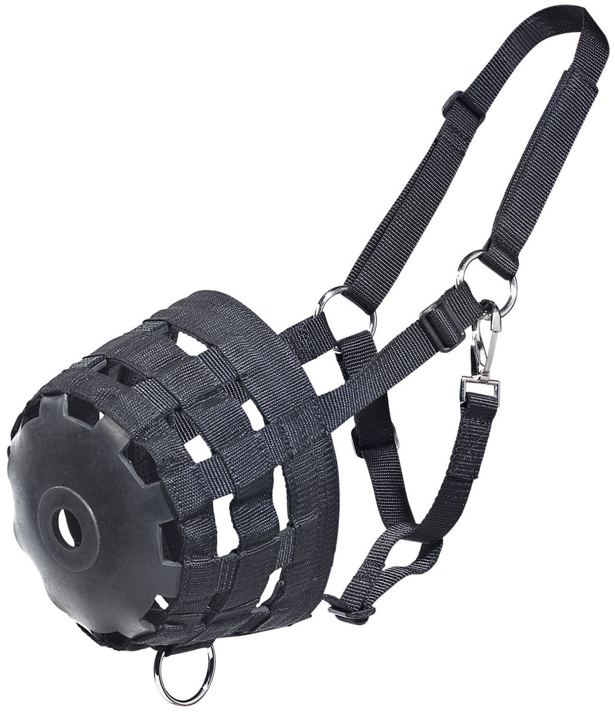 Freitzeitreiter und Alles für Pferd und Reiter