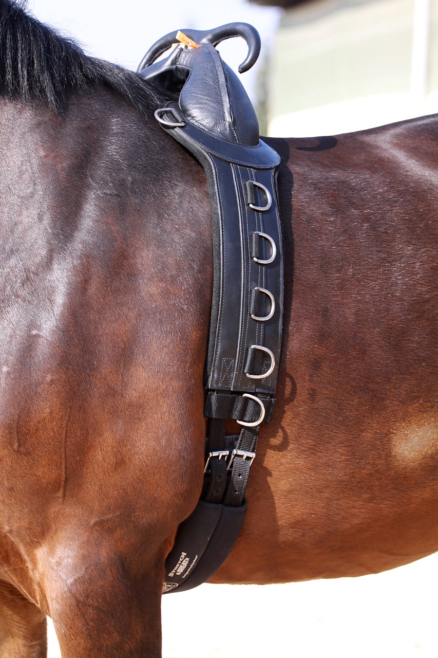 Der Wanderreitershop - Onlineshop für Pferd und Reiter - Longiergurt