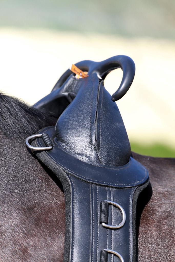 Brama West Longiergurt Mit Leder-Griff - Perfekt Für Reitanfänger